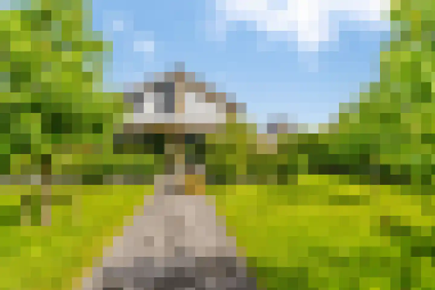 Groene Grens 6 Veenendaal thumbnail 69