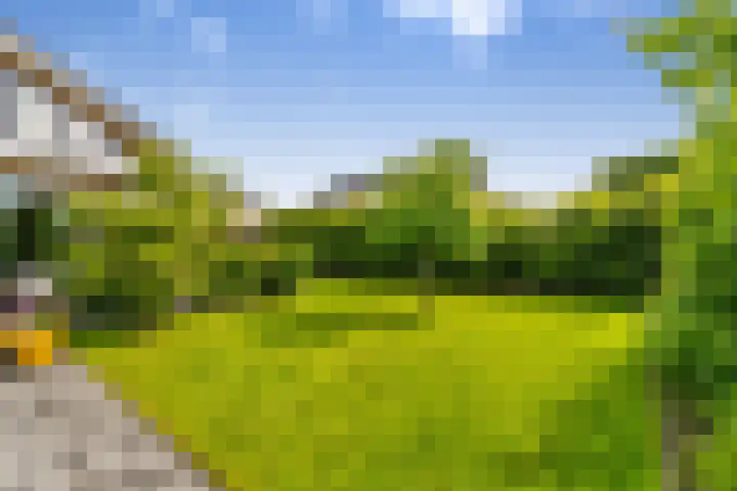 Groene Grens 6 Veenendaal thumbnail 70