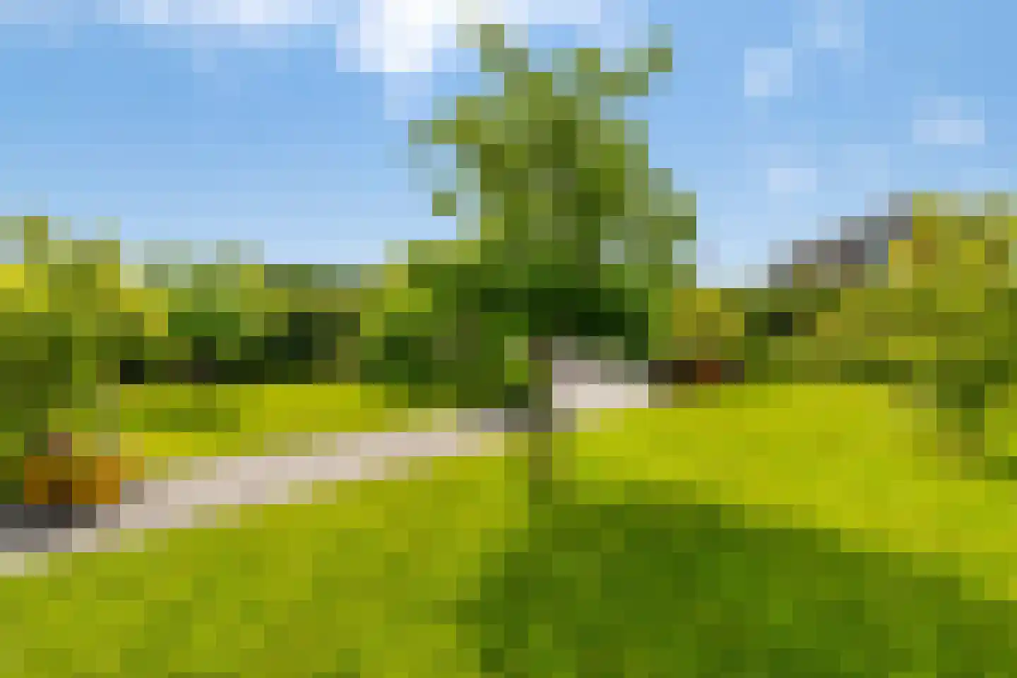 Groene Grens 6 Veenendaal thumbnail 71