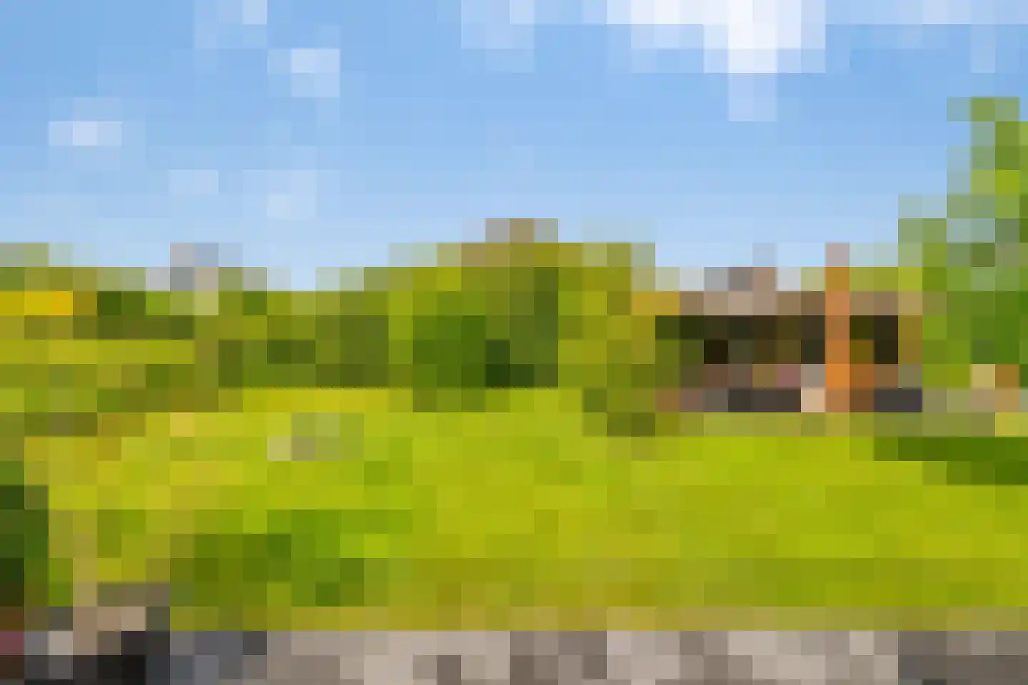 Groene Grens 6 Veenendaal thumbnail 72