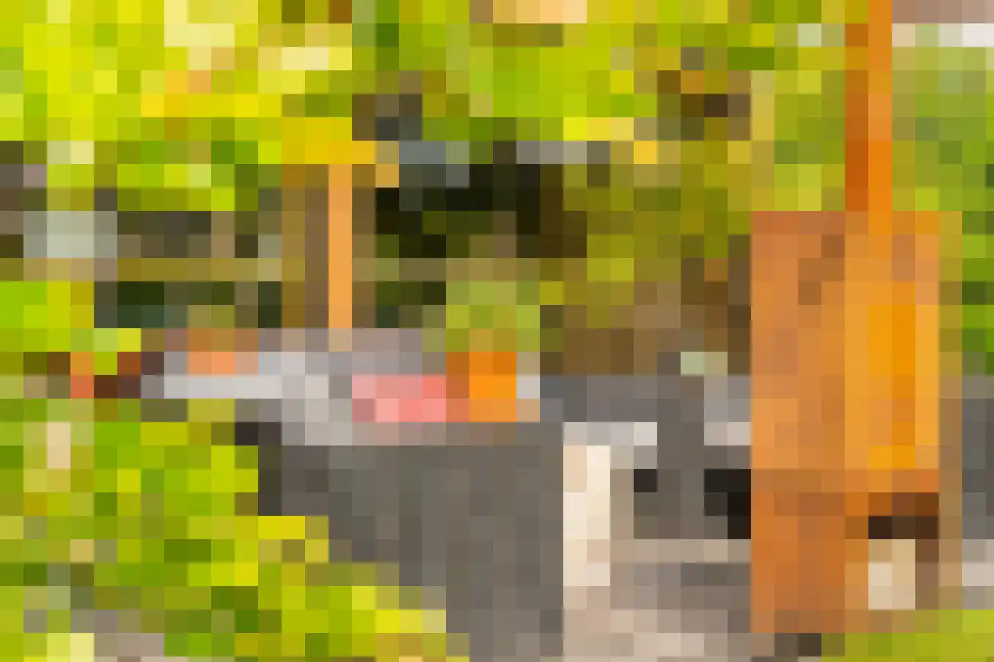 Groene Grens 6 Veenendaal thumbnail 74