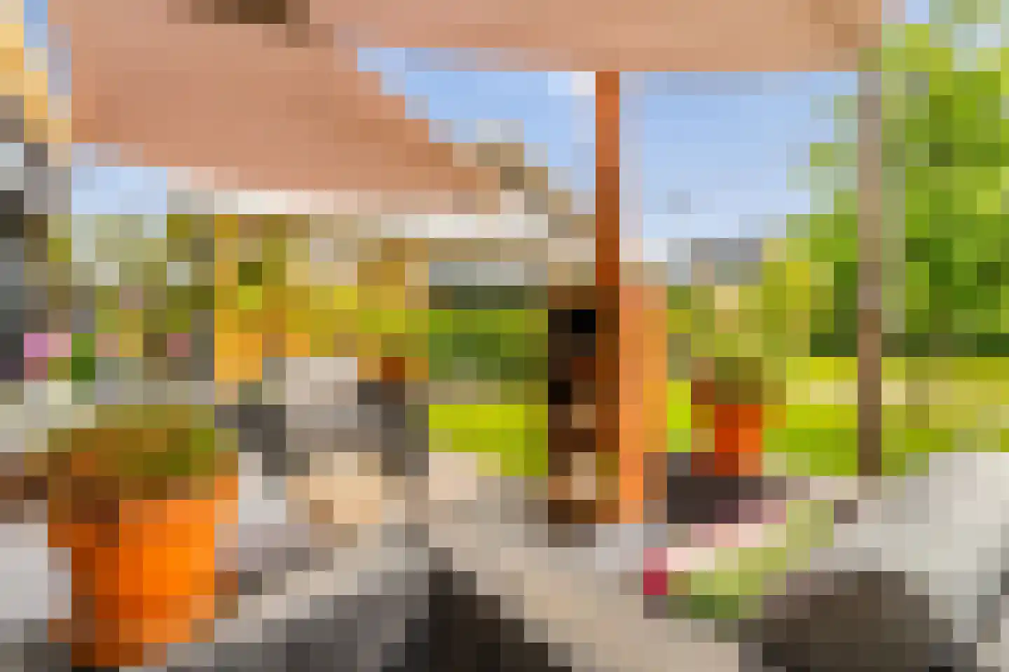 Groene Grens 6 Veenendaal thumbnail 76