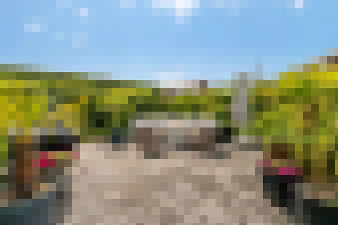 Groene Grens 6 Veenendaal thumbnail 79
