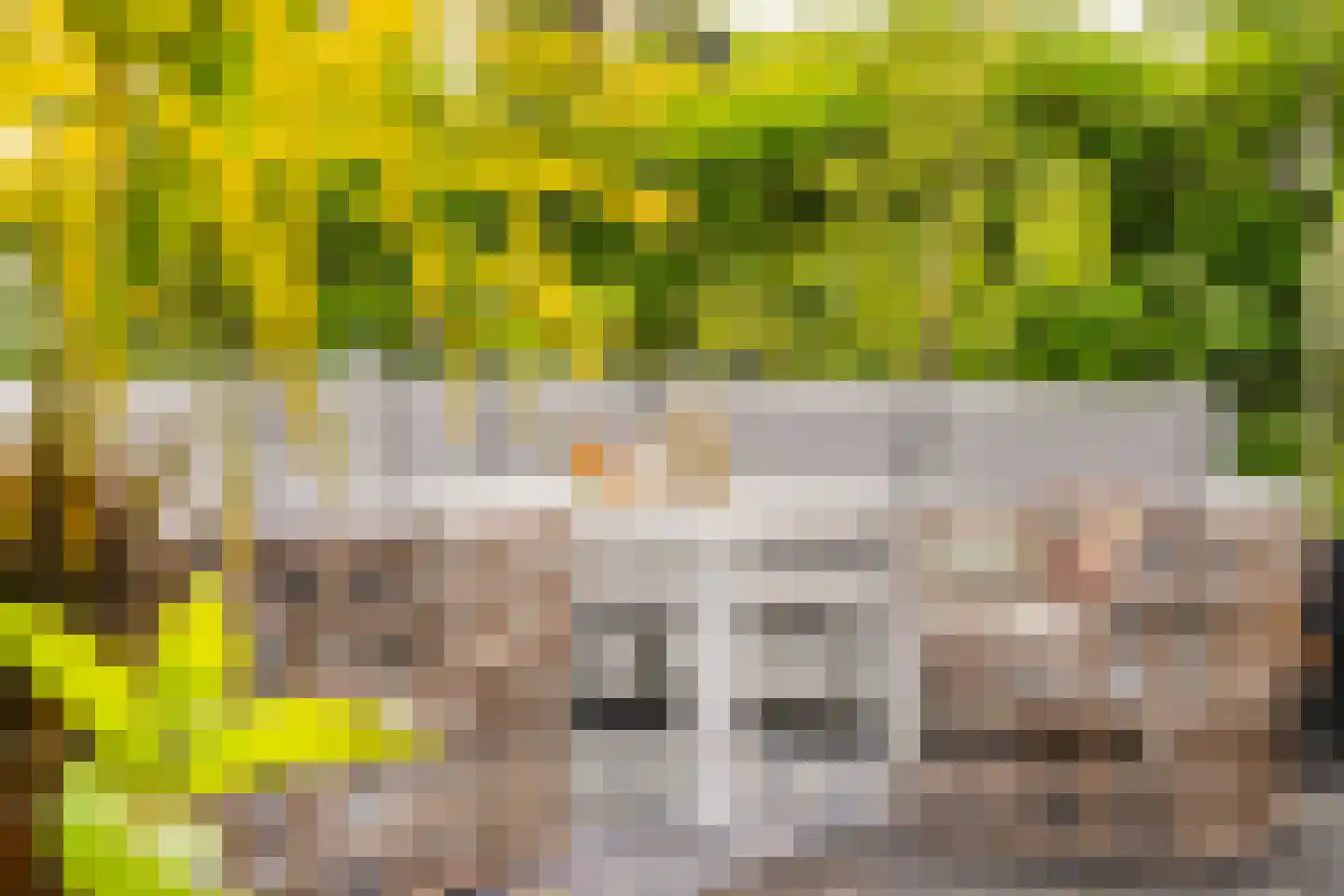Groene Grens 6 Veenendaal thumbnail 80