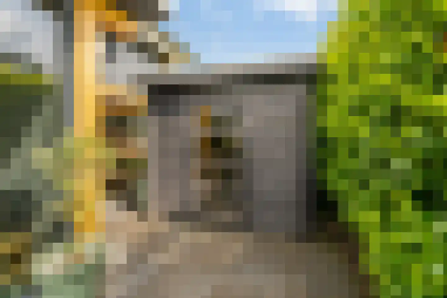 Groene Grens 6 Veenendaal thumbnail 81