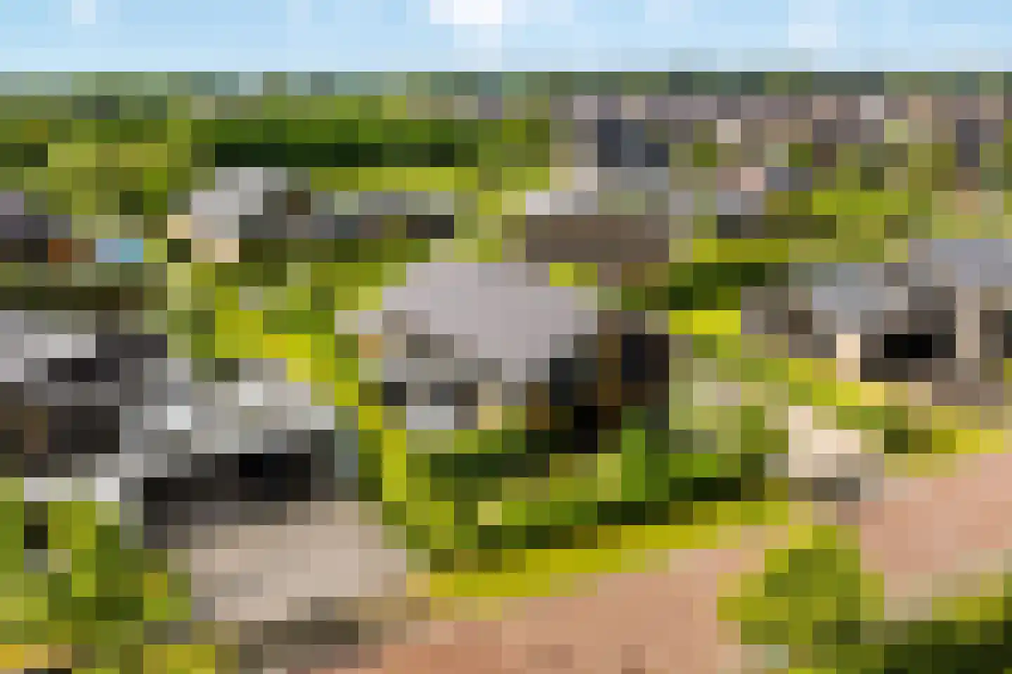 Groene Grens 6 Veenendaal thumbnail 82