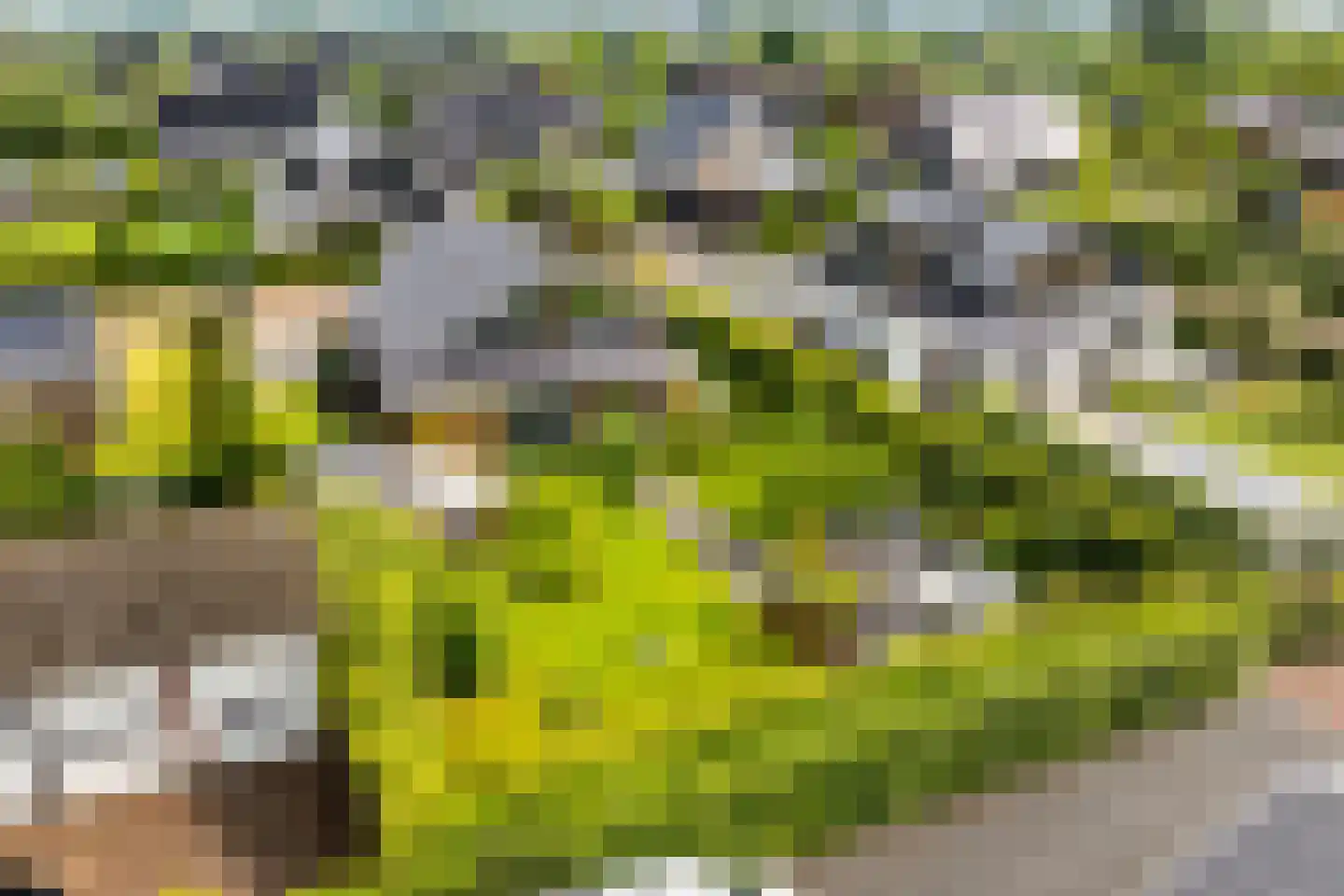 Groene Grens 6 Veenendaal thumbnail 83