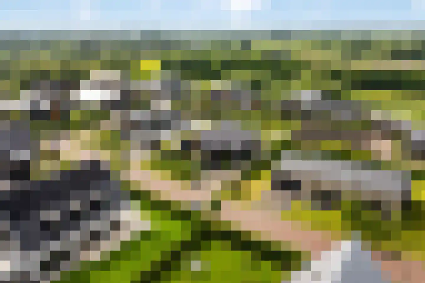 Groene Grens 6 Veenendaal thumbnail 84
