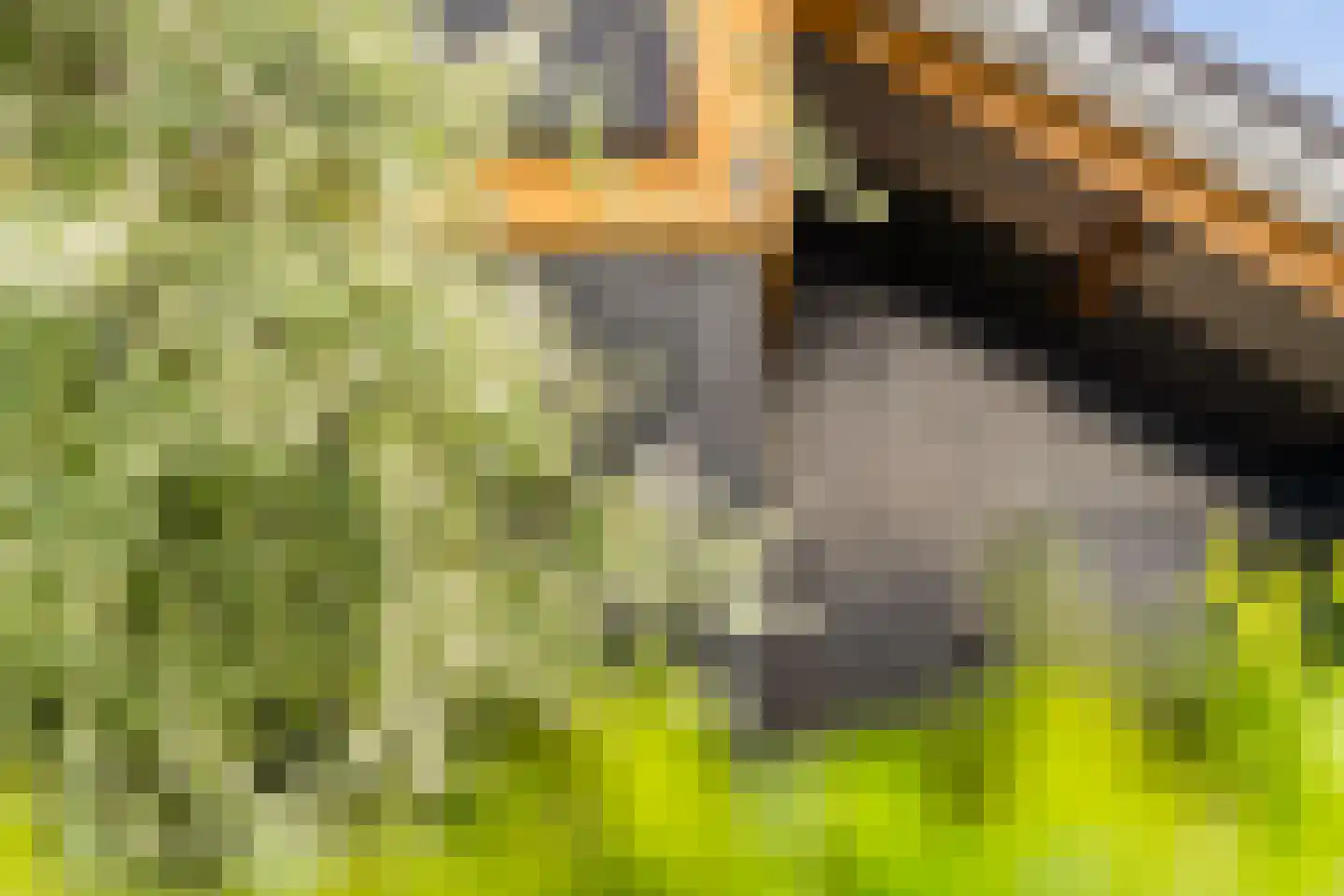 Groene Grens 6 Veenendaal thumbnail 9