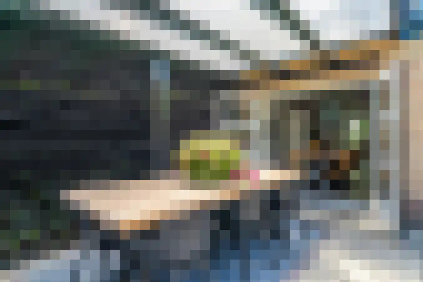Groene Haeg 36 Ermelo thumbnail 41
