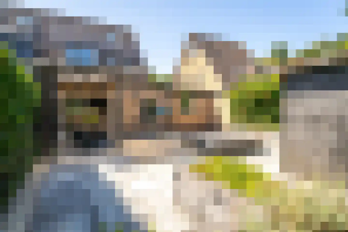 Groene Haeg 36 Ermelo thumbnail 42