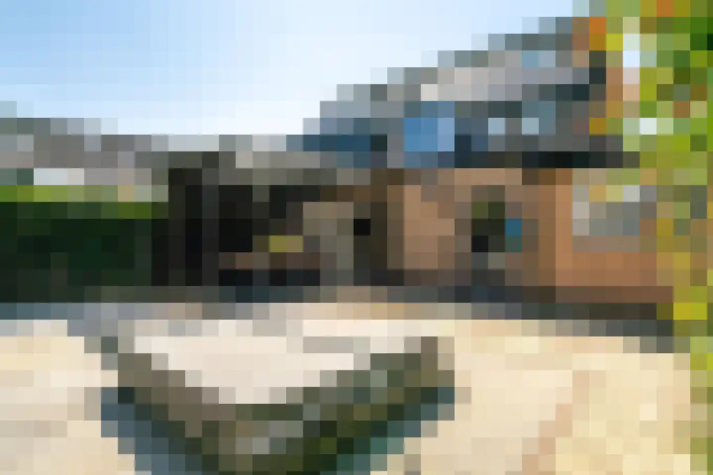 Groene Haeg 36 Ermelo thumbnail 43