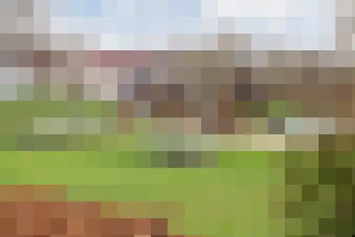 Groene Heuvels 10 Ewijk thumbnail 23