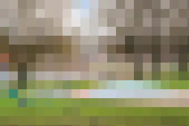Groene Heuvels 10 Ewijk thumbnail 24