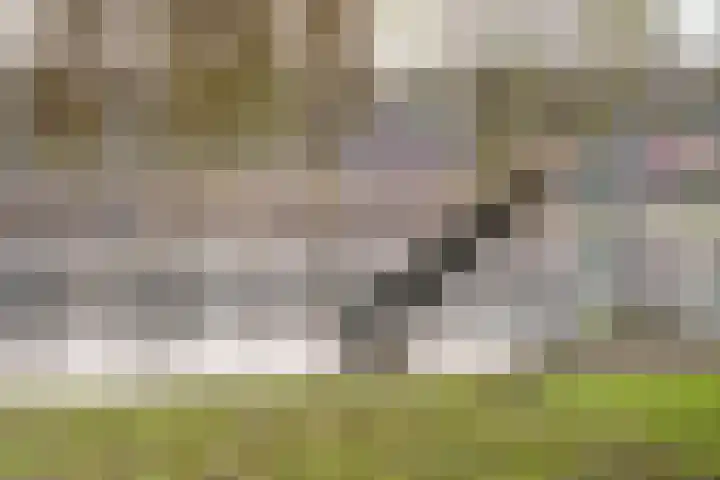 Groene Heuvels 10 Ewijk thumbnail 25