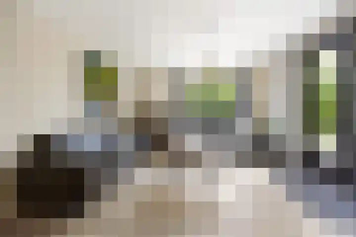 Groene Heuvels 100 Ewijk thumbnail 13