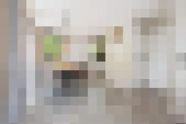 Groene Heuvels 100 Ewijk thumbnail 21