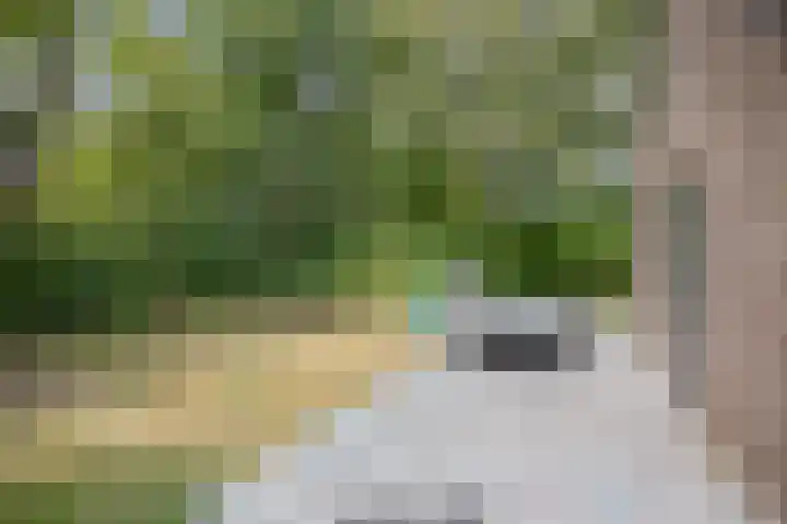 Groene Heuvels 100 Ewijk thumbnail 31