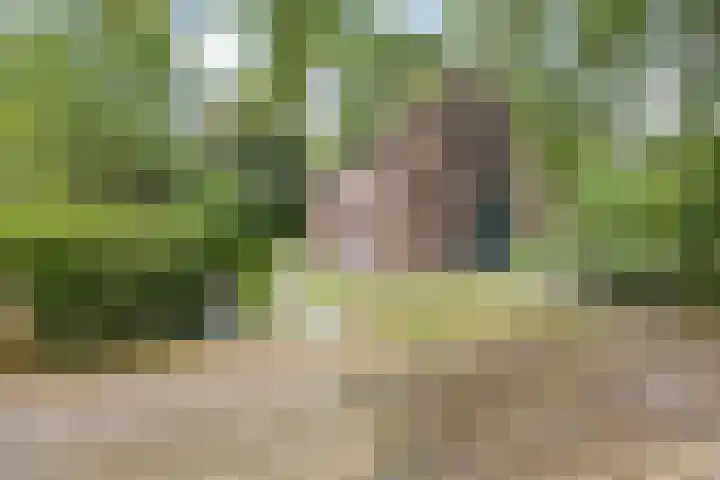 Groene Heuvels 100 Ewijk thumbnail 32