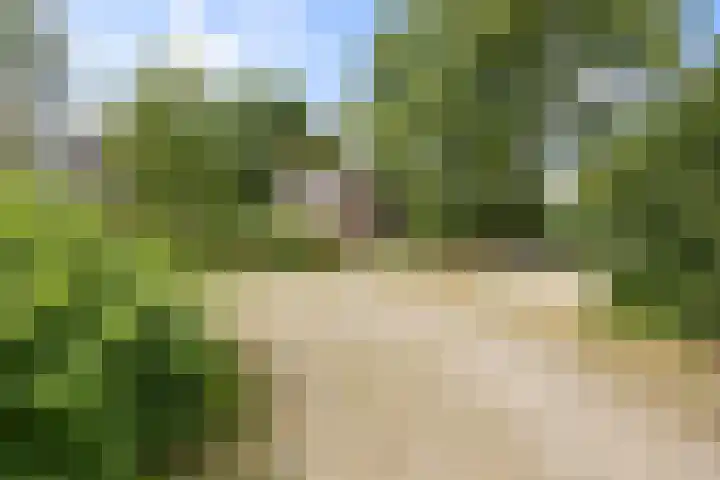 Groene Heuvels 100 Ewijk thumbnail 33