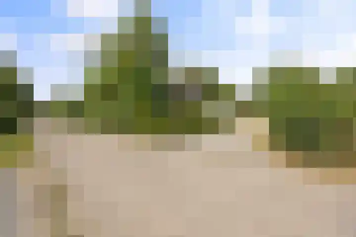 Groene Heuvels 100 Ewijk thumbnail 34