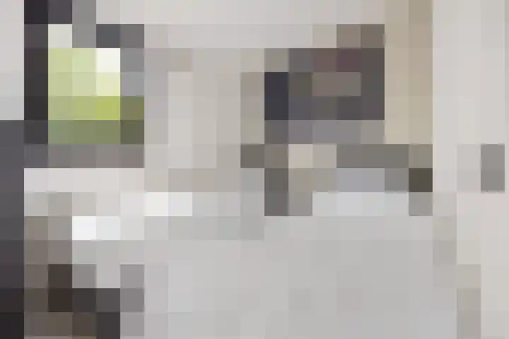 Groene Heuvels 100 Ewijk thumbnail 8