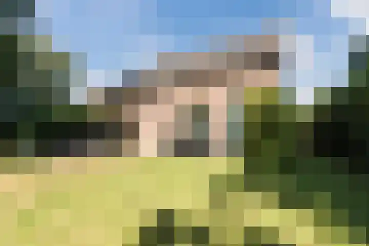 Groene Heuvels 102 Ewijk thumbnail 20