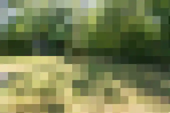 Groene Heuvels 102 Ewijk thumbnail 21