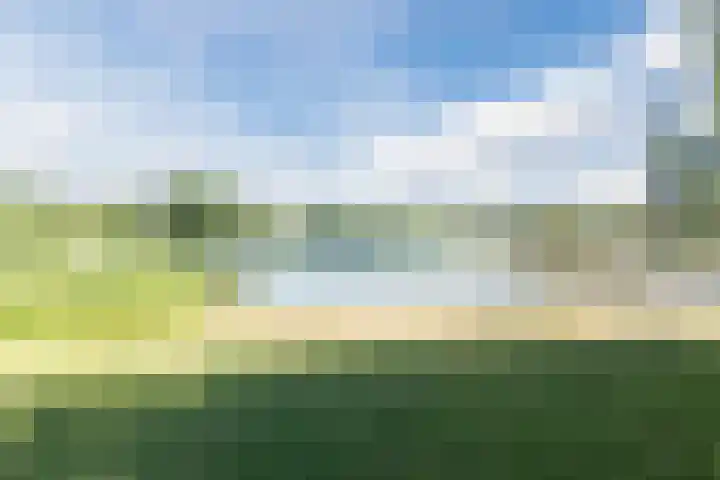 Groene Heuvels 102 Ewijk thumbnail 24
