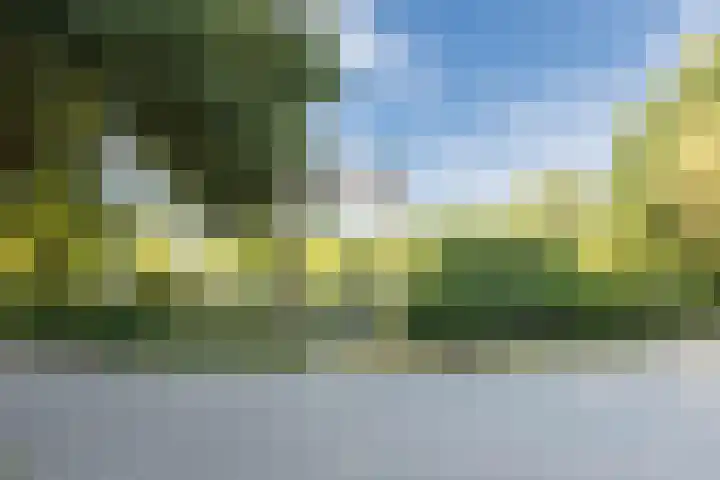 Groene Heuvels 102 Ewijk thumbnail 26