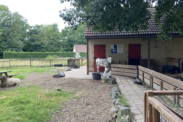 Groene Heuvels 102 Ewijk thumbnail 29