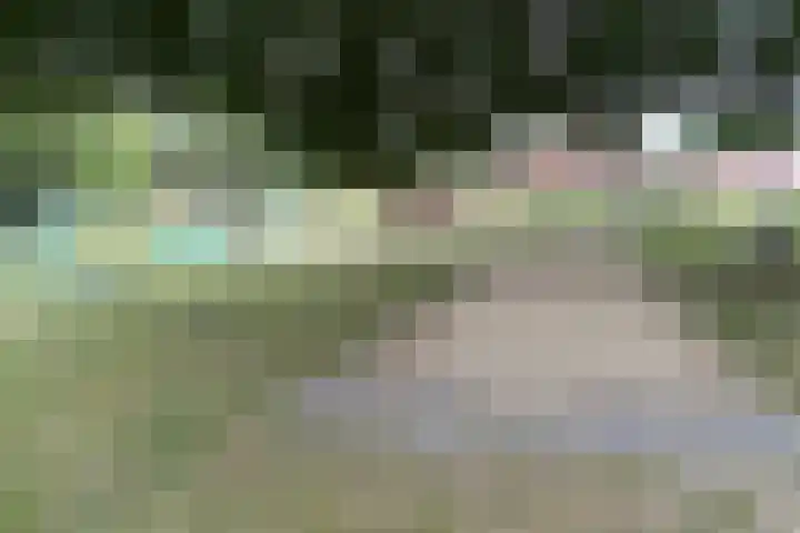 Groene Heuvels 102 Ewijk thumbnail 33