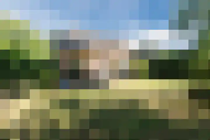 Groene Heuvels 102 Ewijk thumbnail 37