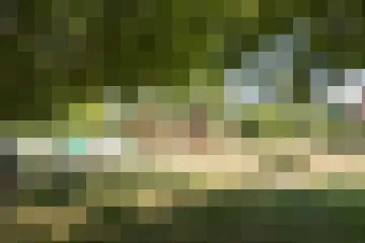 Groene Heuvels 102 Ewijk thumbnail 4