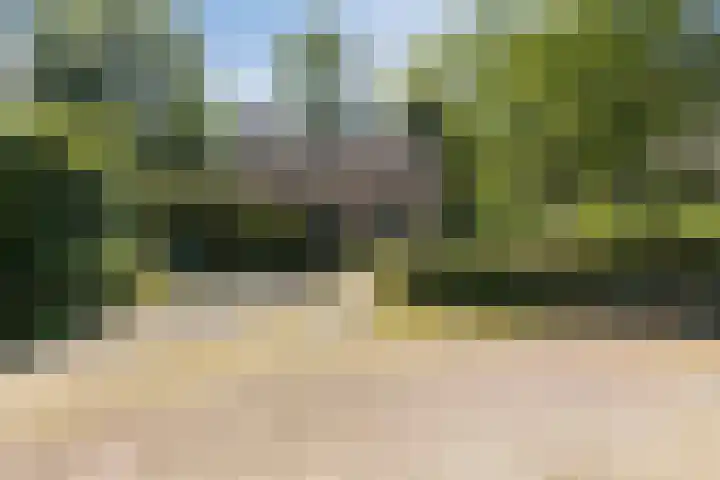 Groene Heuvels 102 Ewijk thumbnail 5