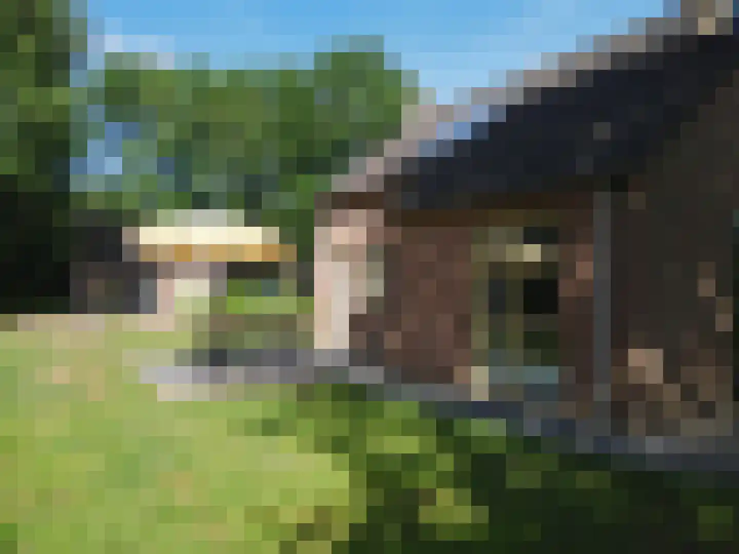 Groene Heuvels 103 Ewijk thumbnail 16