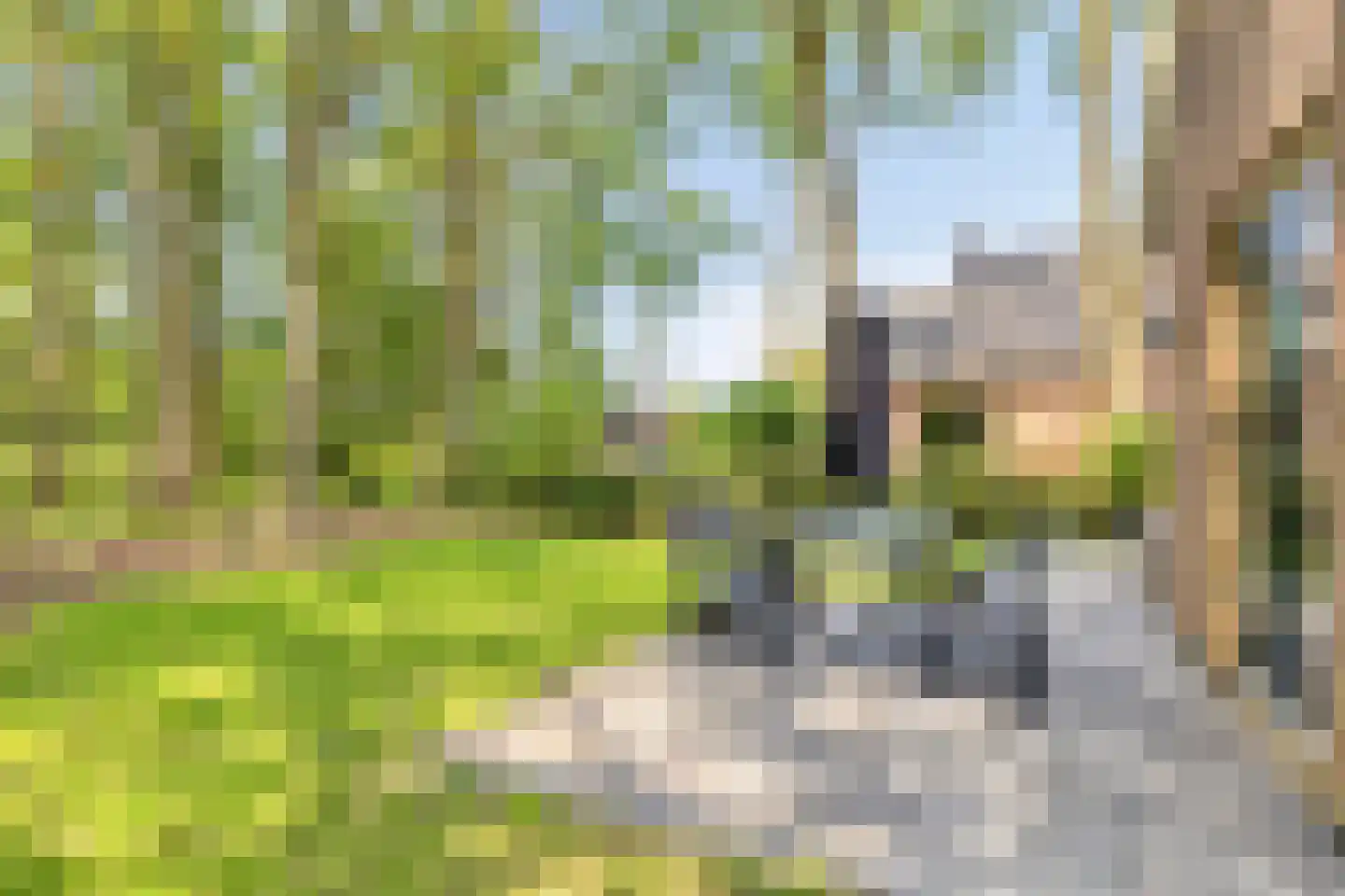 Groene Heuvels 183 Ewijk thumbnail 37
