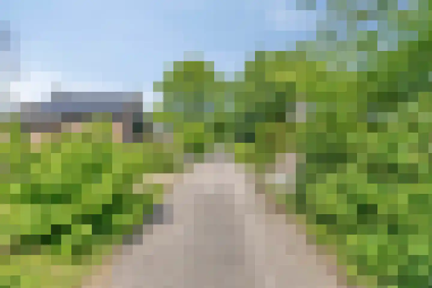 Groene Heuvels 183 Ewijk thumbnail 42