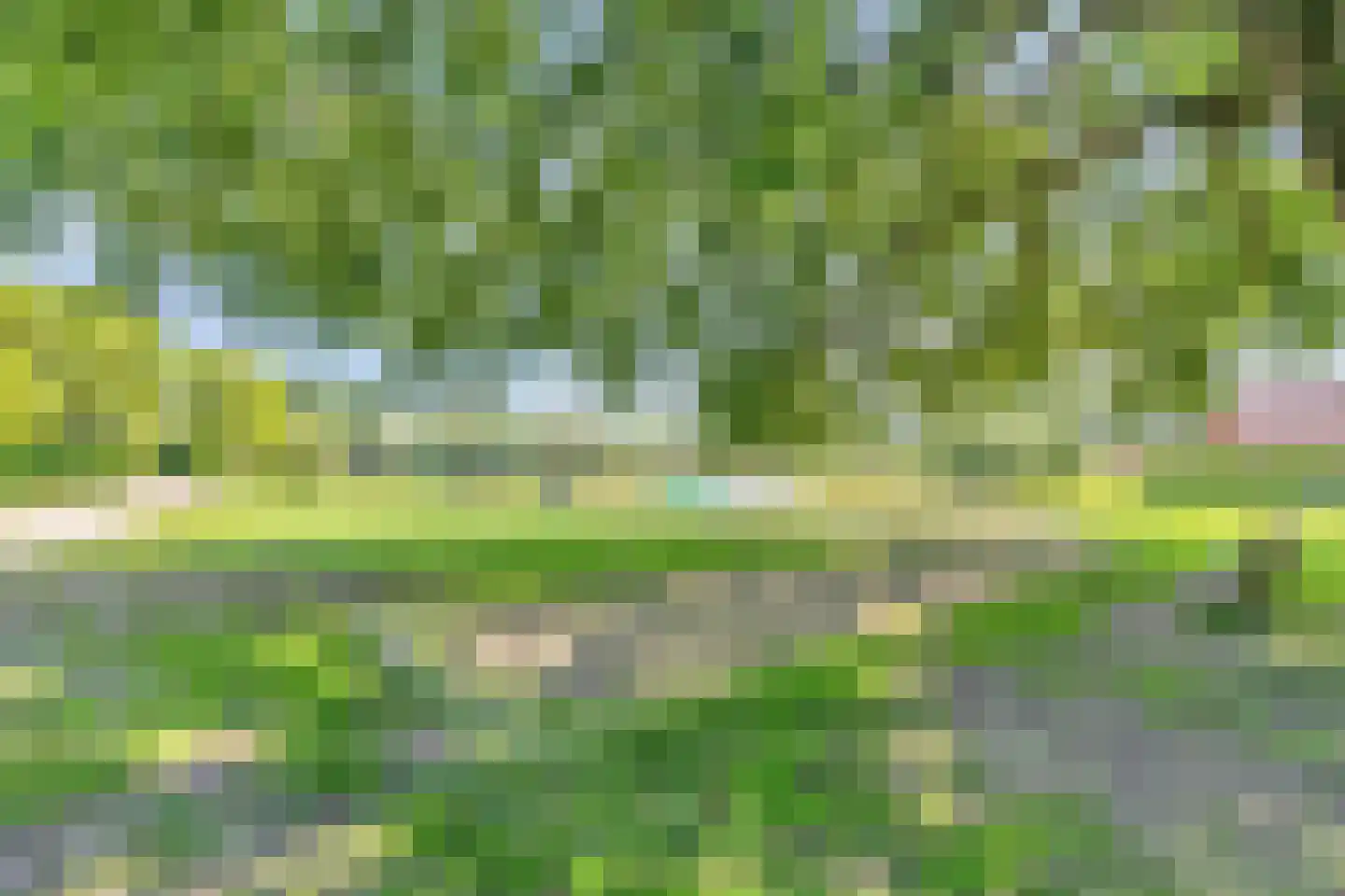 Groene Heuvels 183 Ewijk thumbnail 43