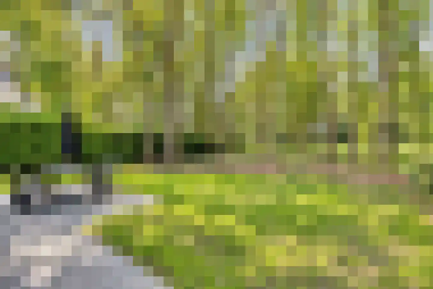 Groene Heuvels 183 Ewijk thumbnail 5