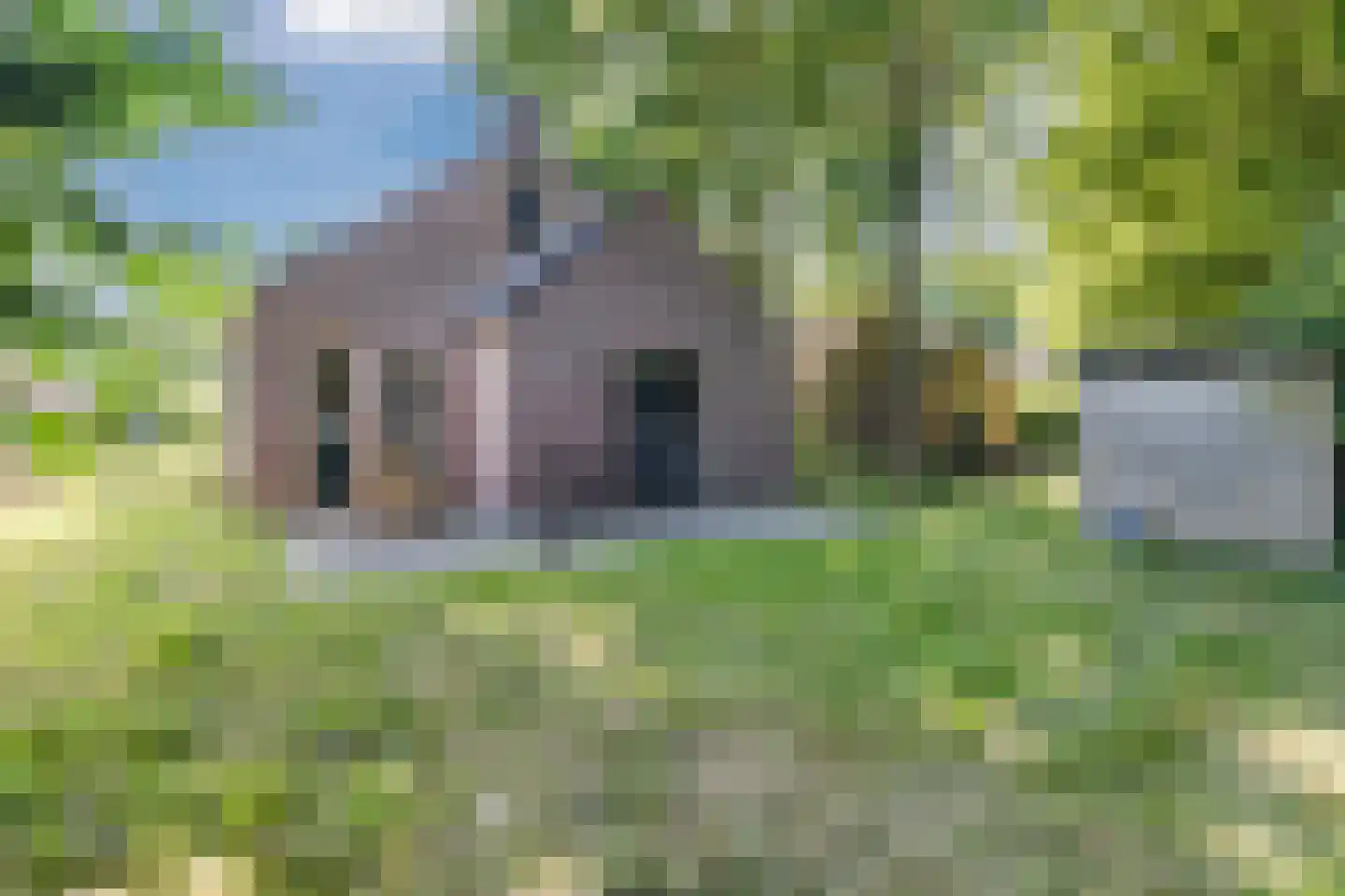 Groene Heuvels 185 Ewijk thumbnail 7