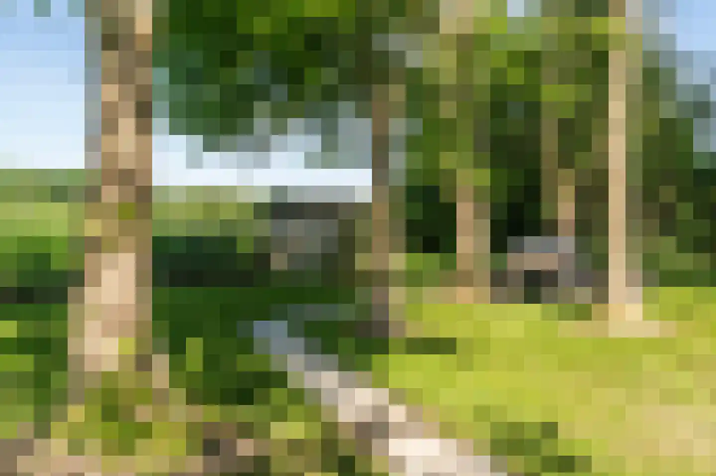 Groene Heuvels 225 Ewijk thumbnail 10