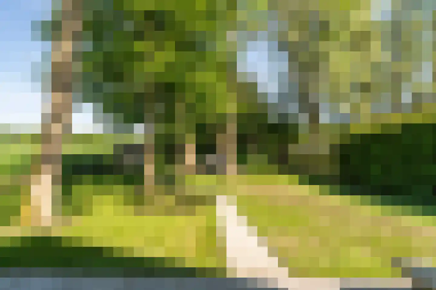 Groene Heuvels 225 Ewijk thumbnail 7