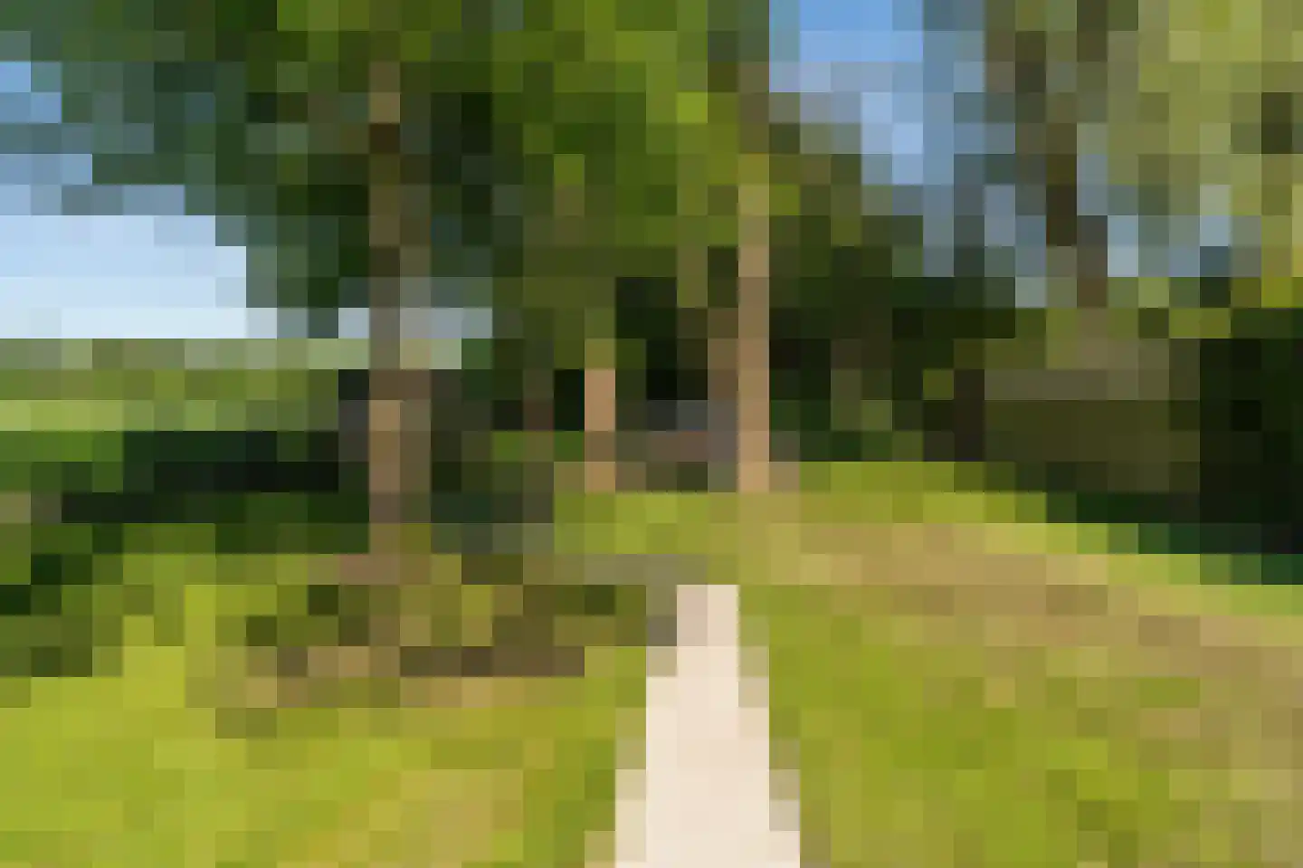 Groene Heuvels 225 Ewijk thumbnail 9