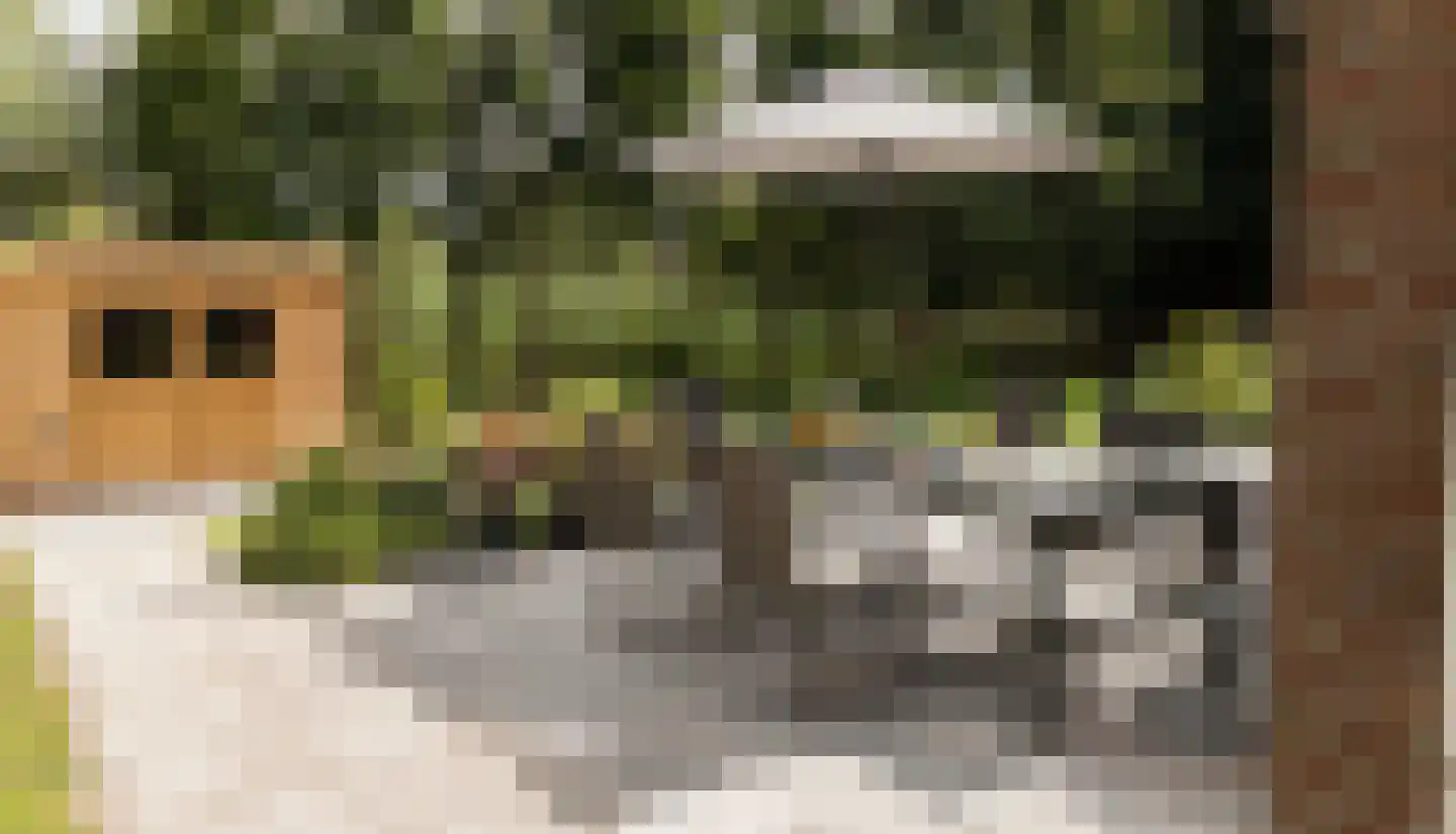 Groene Heuvels 235 Ewijk thumbnail 12