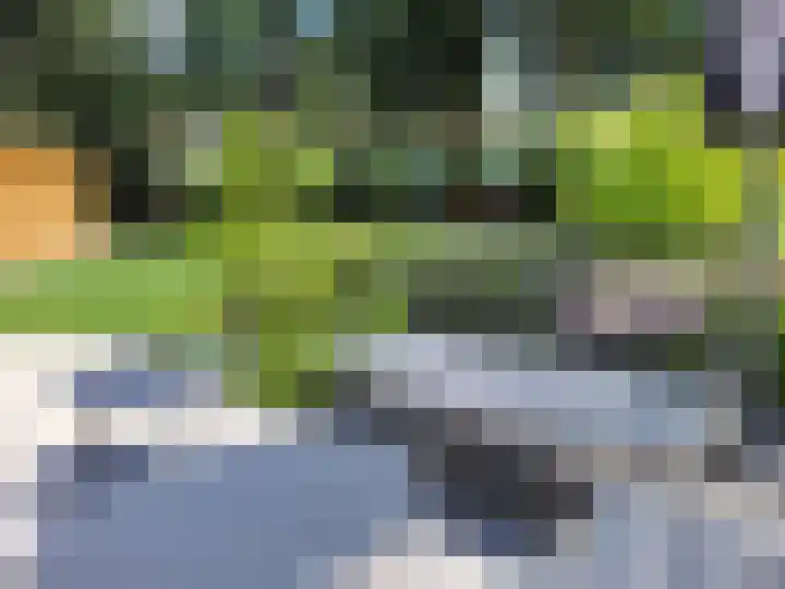 Groene Heuvels 235 Ewijk thumbnail 13
