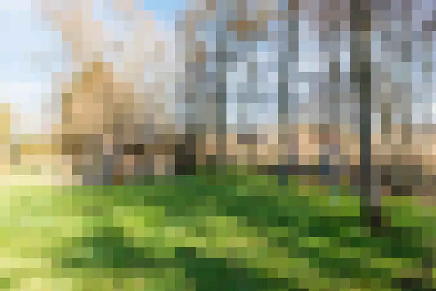 Groene Heuvels 235 Ewijk thumbnail 14