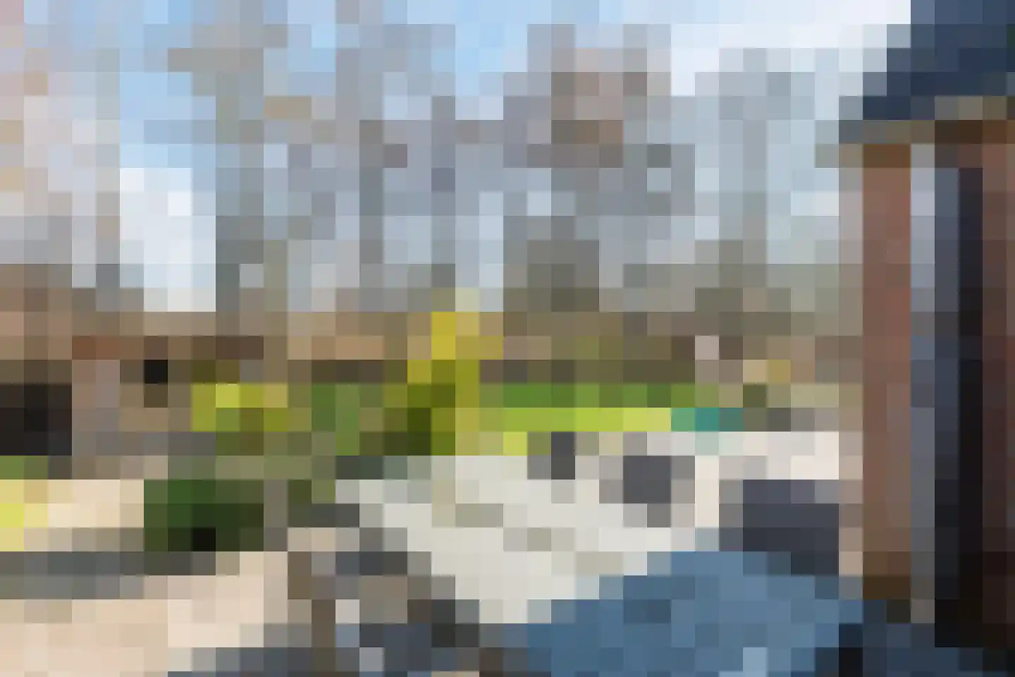 Groene Heuvels 235 Ewijk thumbnail 16