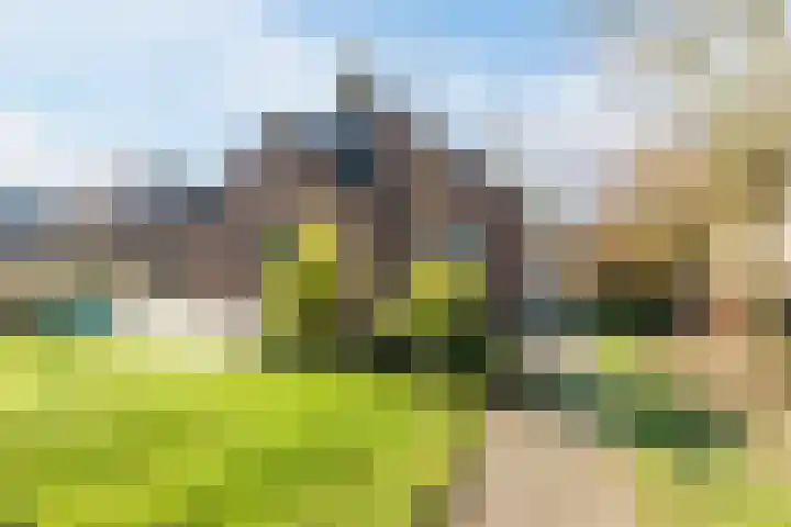 Groene Heuvels 235 Ewijk thumbnail 19