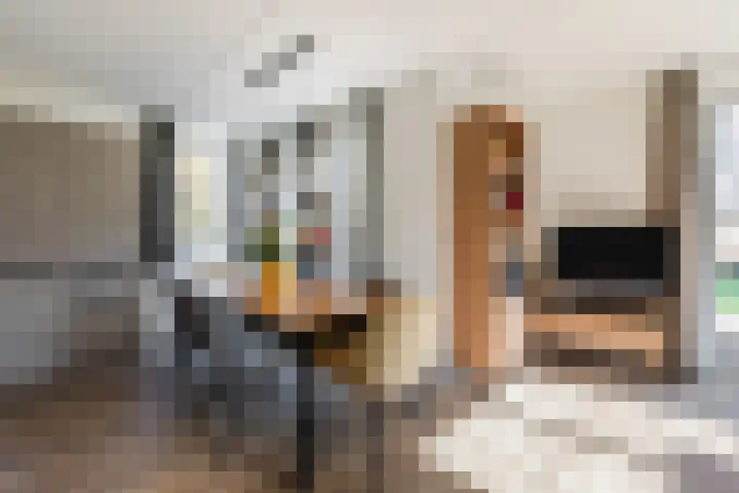 Groene Heuvels 235 Ewijk thumbnail 5